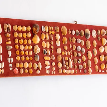 Traditional Canary House