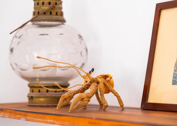 Traditional Canary House 別荘